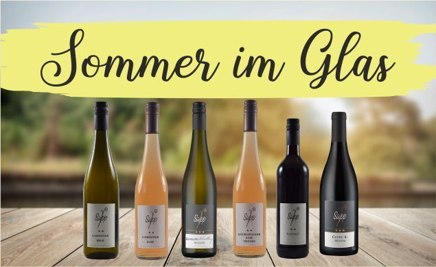  Paket Sommer im Glas